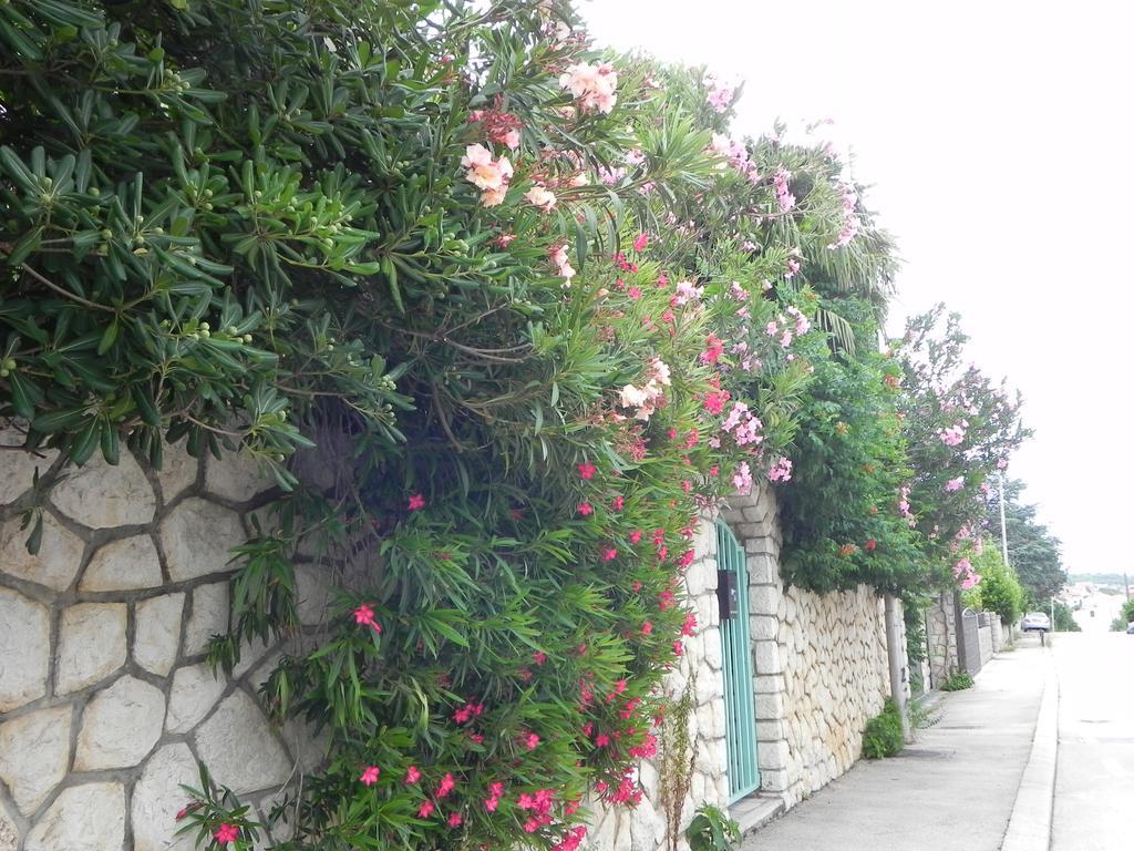 Apartments Katalenic Selce Exterior foto